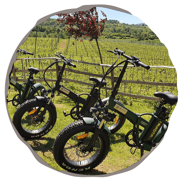 Ebike Agriturismo La Colombaia