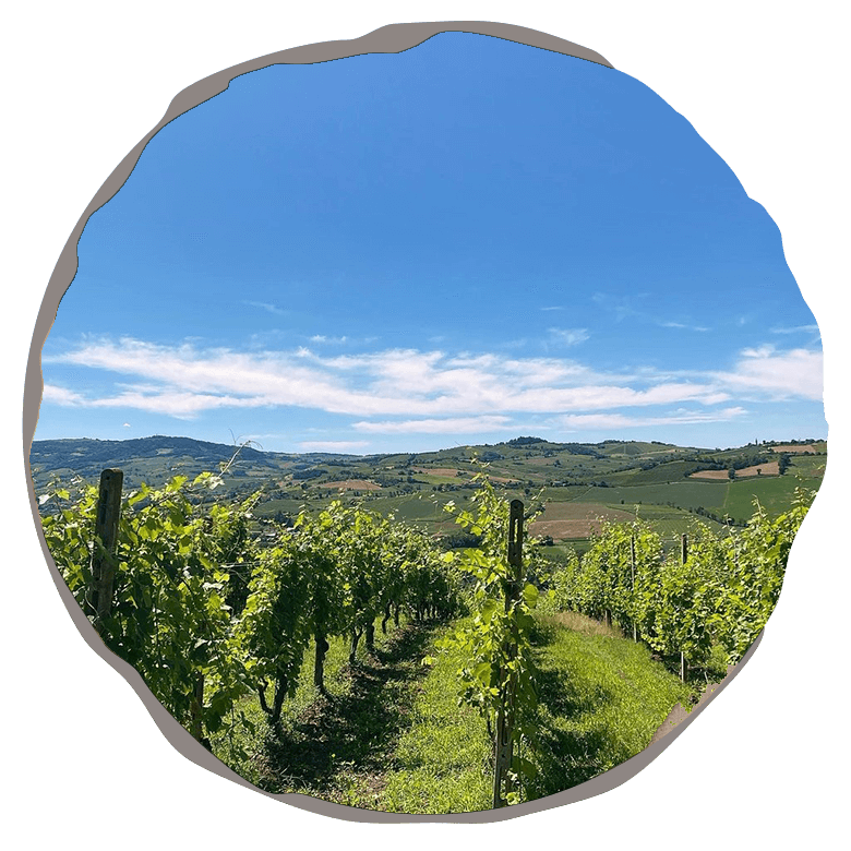 Percorsi Agriturismo La Colombaia