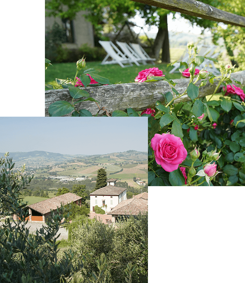 Agriturismo La Colombaia - La nostra storia